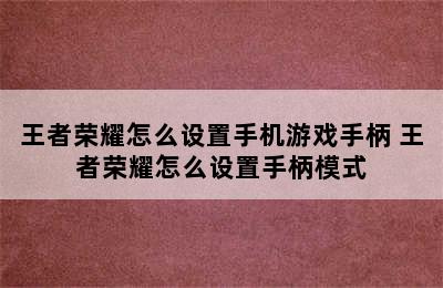 王者荣耀怎么设置手机游戏手柄 王者荣耀怎么设置手柄模式